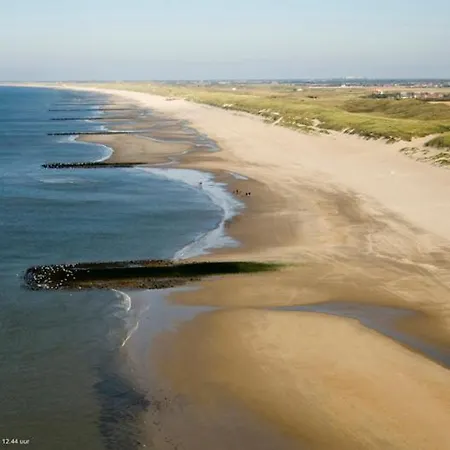 Tiny House Tulp Oudesluis (North Holland)