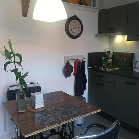 Tiny House Tulp Сasa de vacaciones Oudesluis (North Holland)