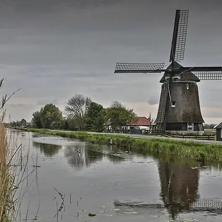 Tiny House Tulp * Oudesluis (North Holland)