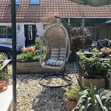 Tiny House Tulp Oudesluis (North Holland)
