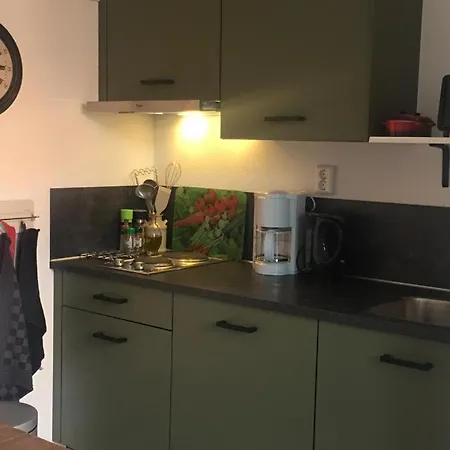 בית נופש Tiny House Tulp Oudesluis (North Holland)