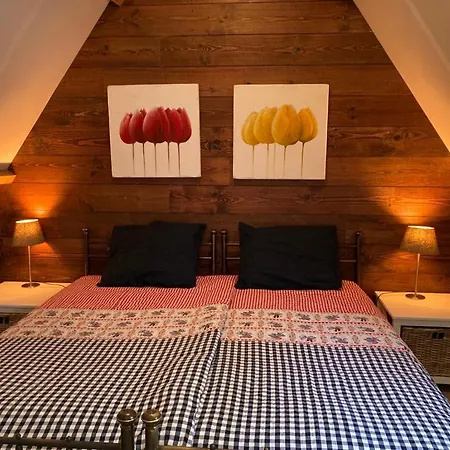 בית נופש Tiny House Tulp Oudesluis (North Holland)