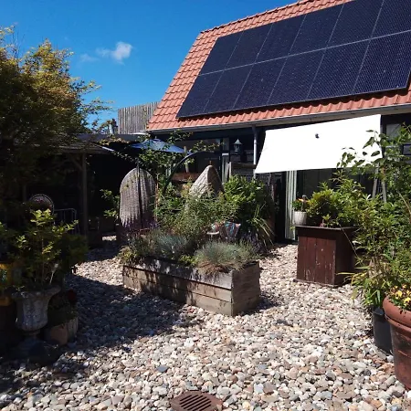 Tiny House Tulp בית נופש *